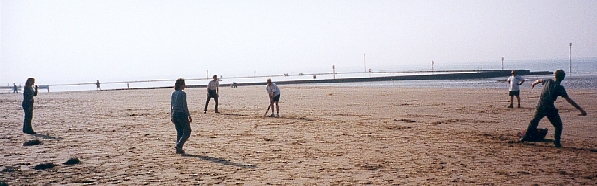 Cricket on the beach