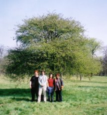 jane, stephan, sarah and doris