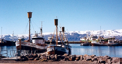 Whale watching boats, Husavik