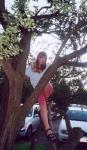 Sophie up a tree